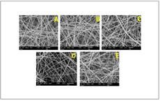 Pic: MDPI